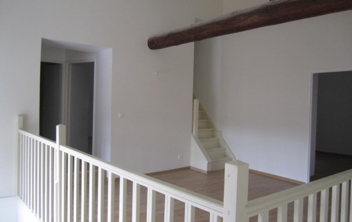 CANALI IMMO : Appartement | IRIGNY (69540) | 150 m2 | 449 000 € 